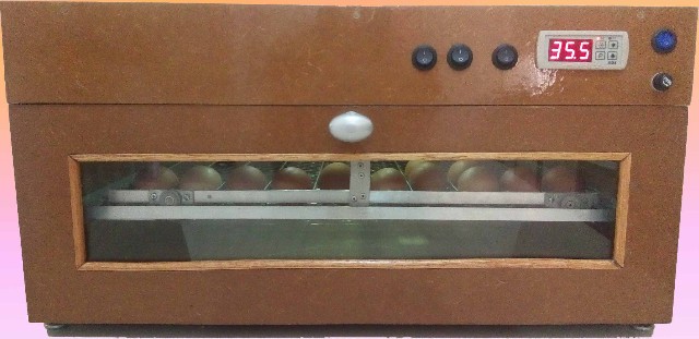 Foto 1 - Chocadeira automática para ovos de galinha