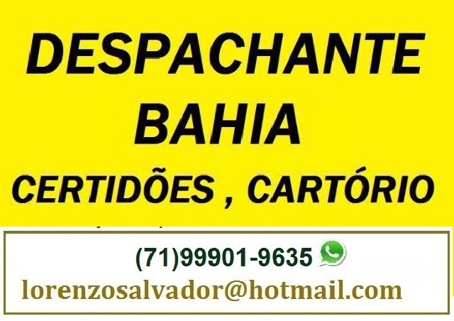 Despachante de salvador bahia